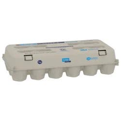Kroger Grade A Large Eggs