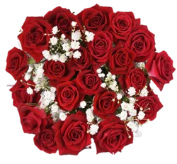 Bloom Haus Spray Rose Bouquet F4L, 1 ea
