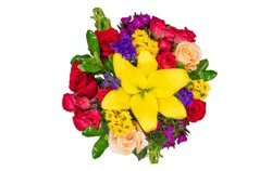 Bloom Haus Joyful Blooms Fresh Flower Bouquet, 1 ct