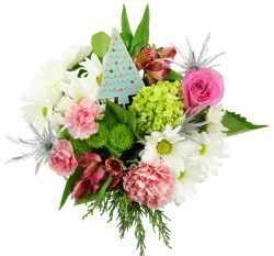 Bloom Haus Winter Whimsy Fresh Cut Flower Bouquet