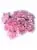 Bloom Haus Regular Carnations - Pink