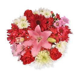 Bloom Haus Notion Bouquet - Red / White / Green