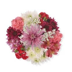 BLOOM HAUS Harmony Lavender Dream Bouquet