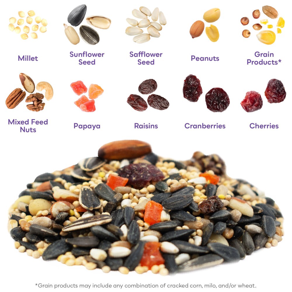 slide 2 of 4, Nature's Song Fruit Nut Berry Wild Bird Food, 4 lb