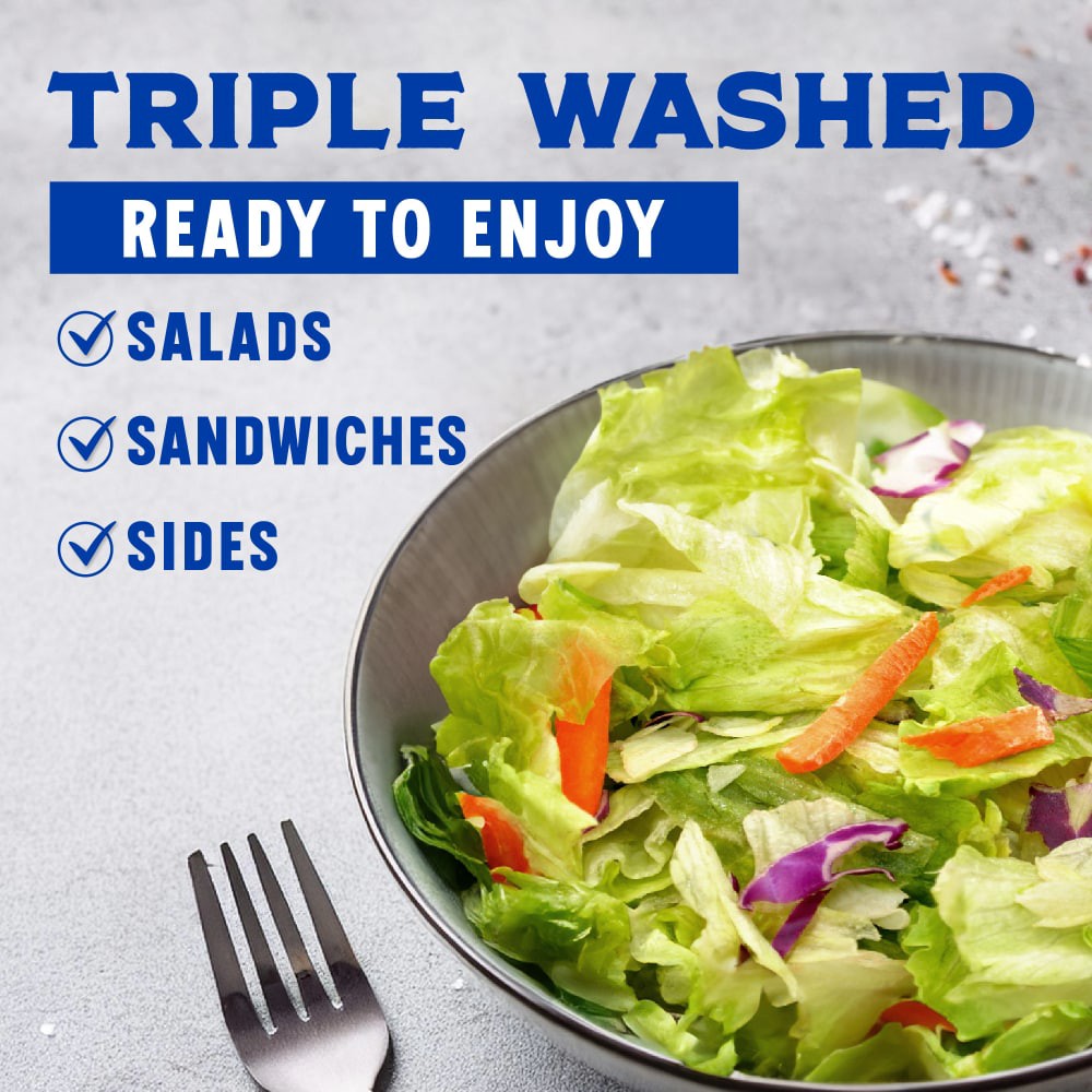 slide 3 of 3, Kroger Classic Garden Salad, 24 oz