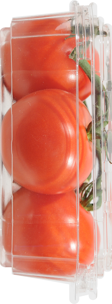 slide 2 of 3, Campari Tomatoes, Greenhouse Grown, 1 lb