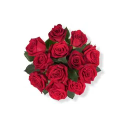 BLOOM HAUS Red Roses