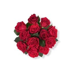 BLOOM HAUS Red Roses