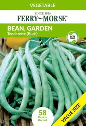 Ferry-Morse® Tenderette Bush Bean Seeds, 1 ct