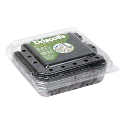 Driscoll's Blackberries