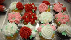 Redners Buttercreme Or Whip Iced Decorated Cupcakes 12-Pack