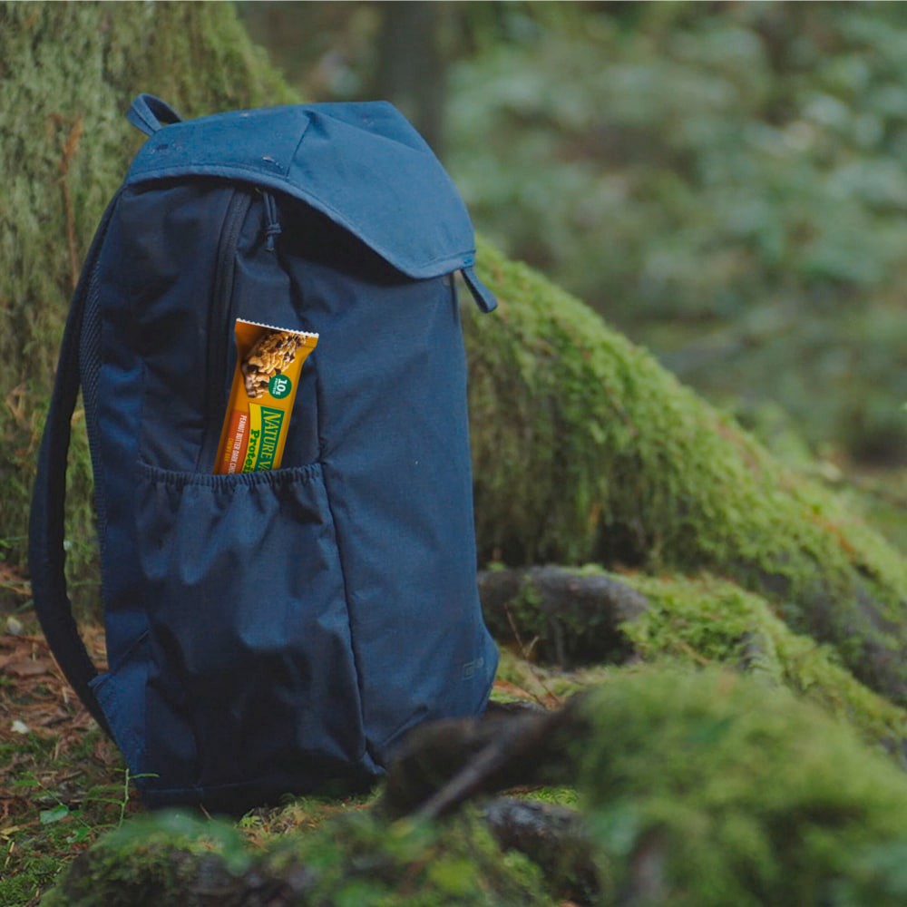 slide 4 of 6, Nature Valley Chewy Protein Granola Bars, Peanut Butter Dark Chocolate, 10 Bars, 14.2 OZ, 10 ct