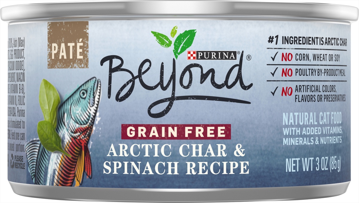 slide 6 of 7, Purina Beyond Grain Free Paté Premium Wet Cat Food Fish Flavor Arctic Char & Spinach Recipe - 3oz, 3 oz