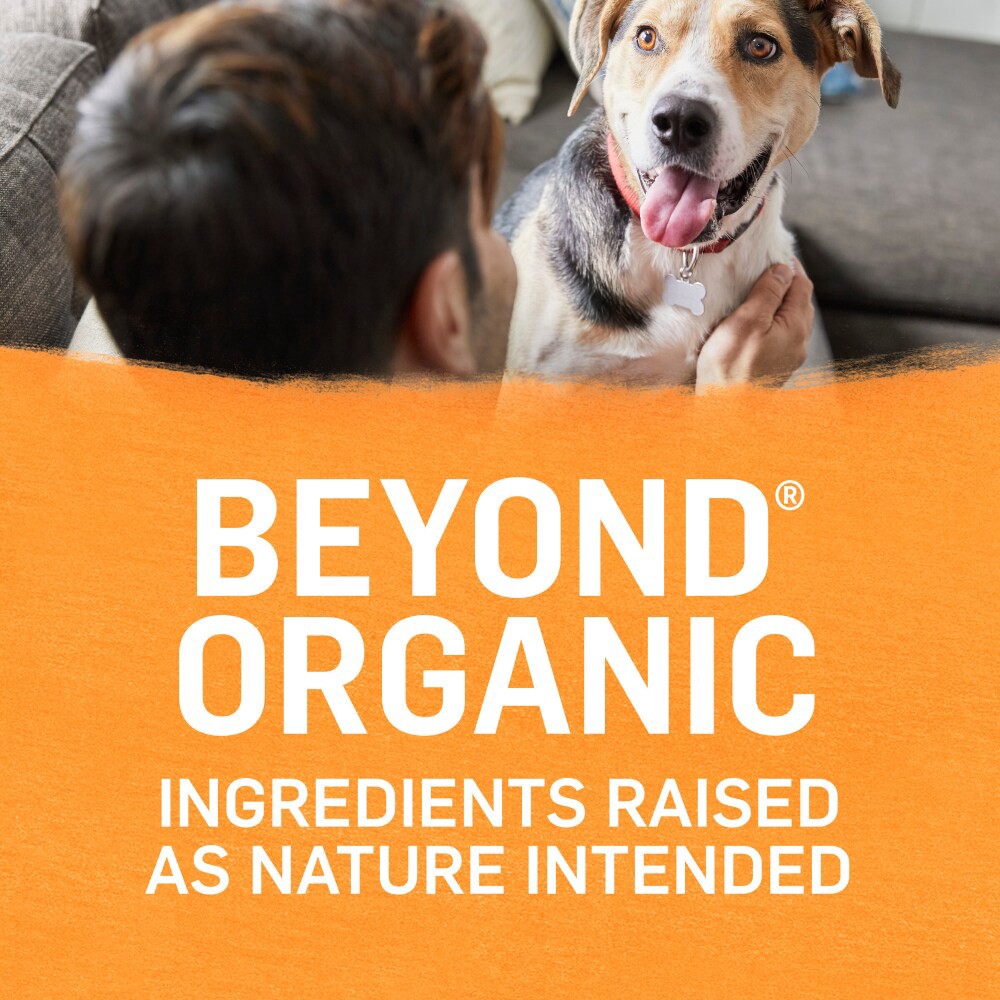slide 2 of 3, Beyond Purina Beyond Organic Wet Dog Food, Organic Chicken & Carrot Adult Recipe Ground Entrée With Broth - 13 oz. Can, 13 oz