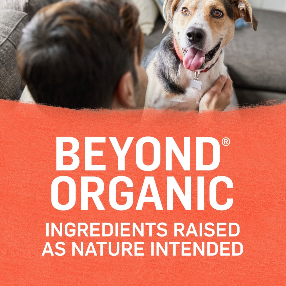 slide 2 of 3, Beyond Purina Beyond Organic Wet Dog Food, Organic Chicken & Sweet Potato Adult Recipe Ground Entrée With Broth, 13 oz