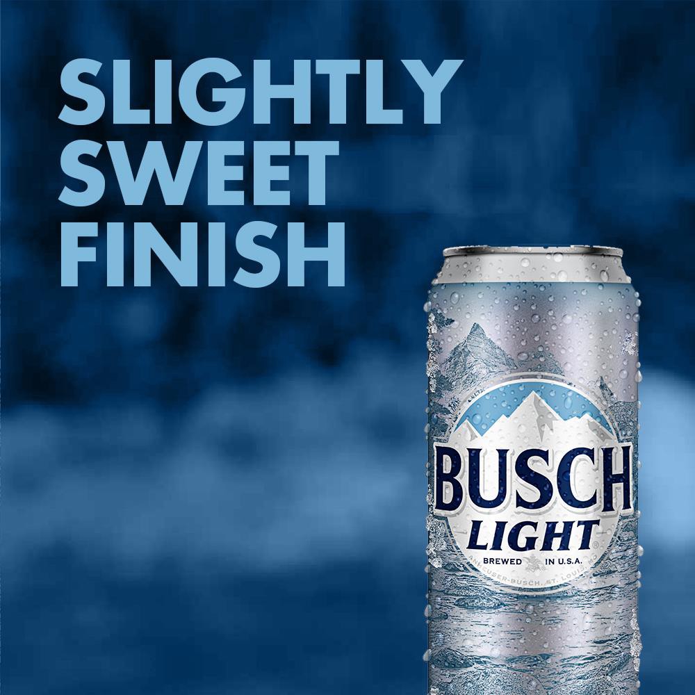 slide 2 of 6, Busch Beer, 6 Pack Beer, 16 FL OZ Cans, 4.1% ABV, 6 ct; 16 fl oz