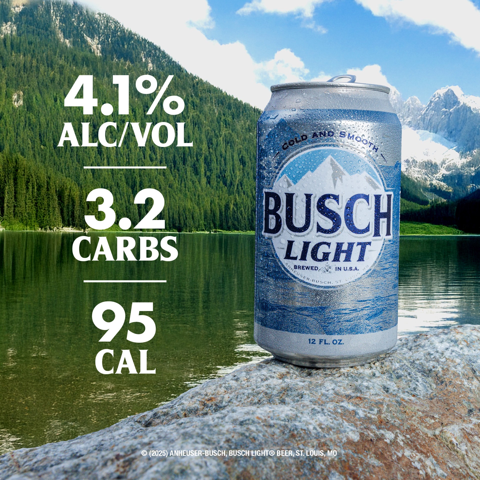 slide 5 of 5, Busch Beer, 6 Pack Beer, 16 FL OZ Cans, 4.1% ABV, 16 fl oz