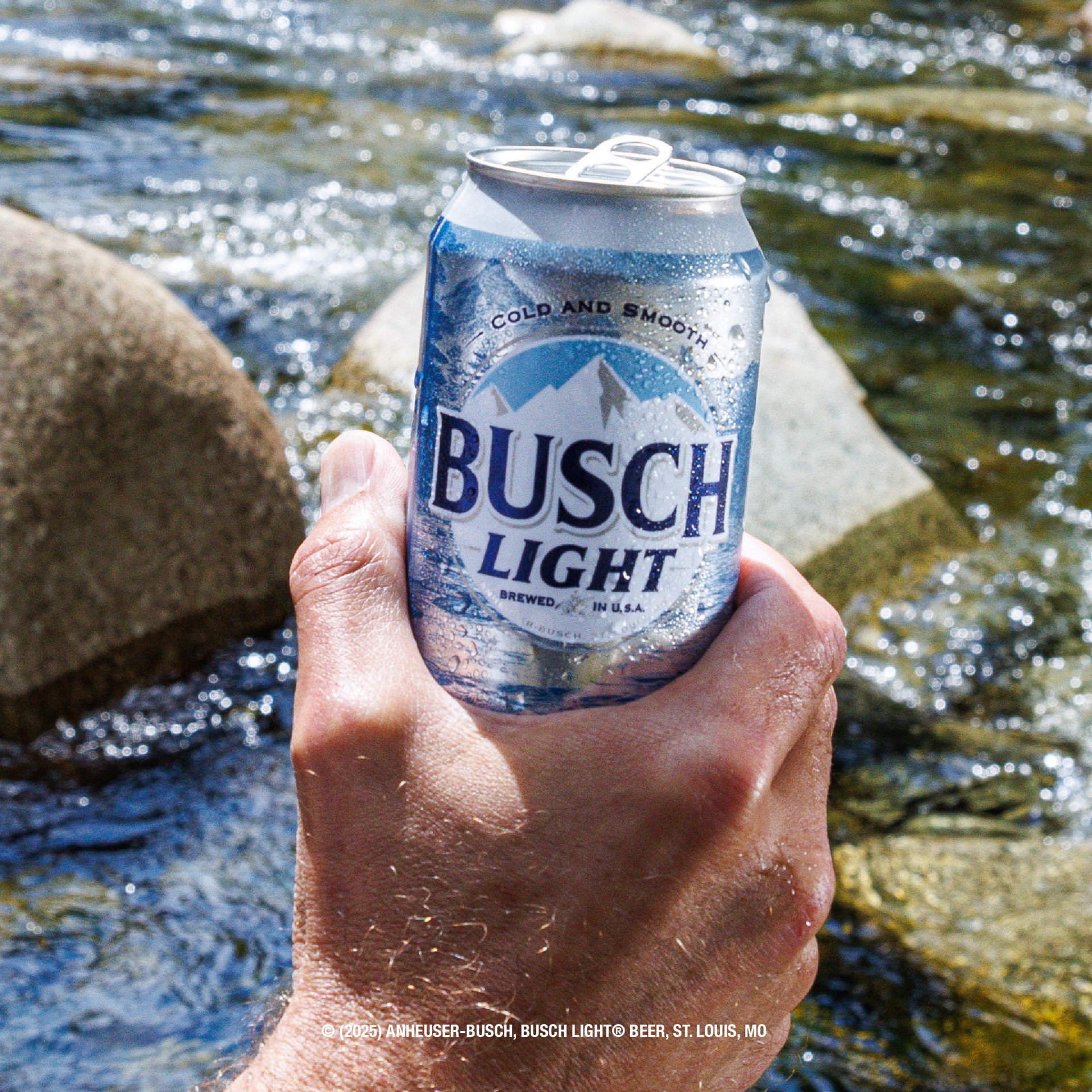 slide 4 of 5, Busch Beer, 6 Pack Beer, 16 FL OZ Cans, 4.1% ABV, 16 fl oz