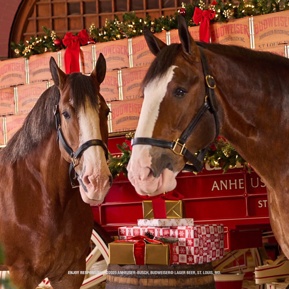 slide 2 of 6, Budweiser Zero Beer, 12 Pack 12 fl. oz. Cans, 12 ct; 12 fl oz