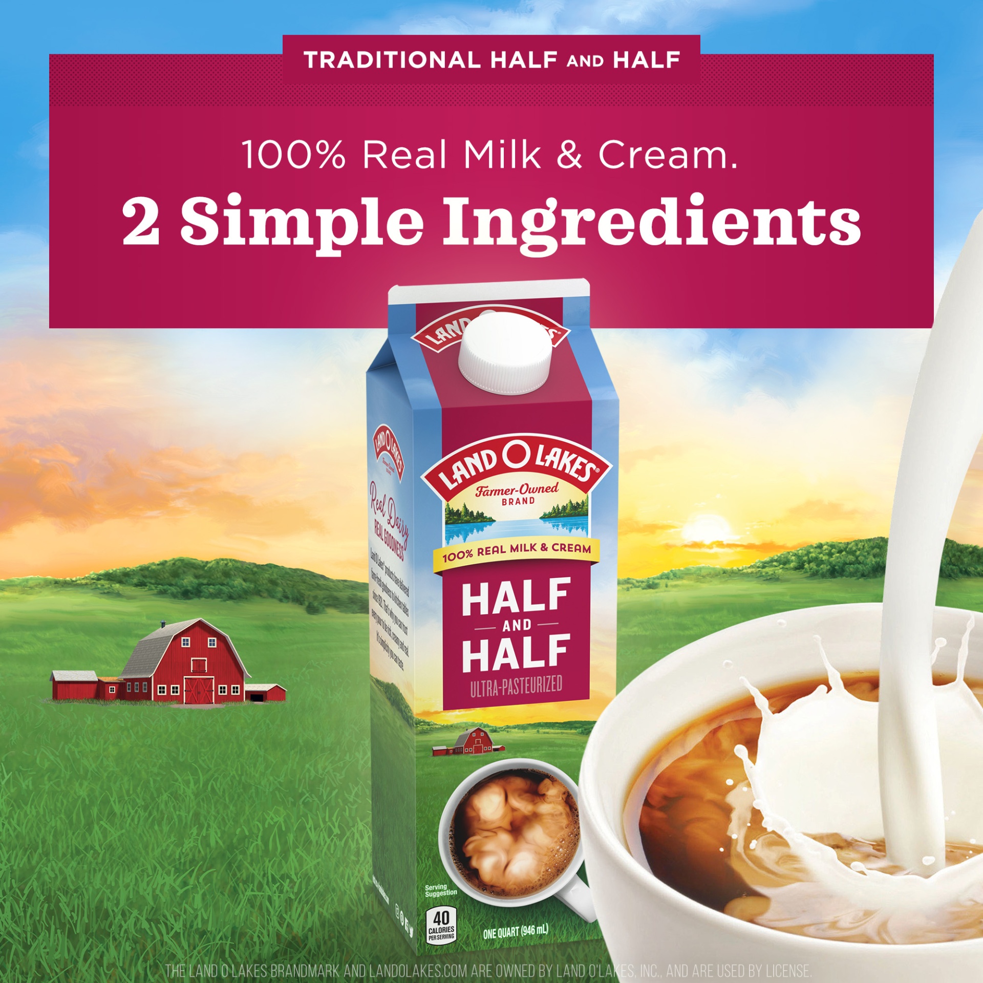 Destination Grocers  Half and Half, 16oz