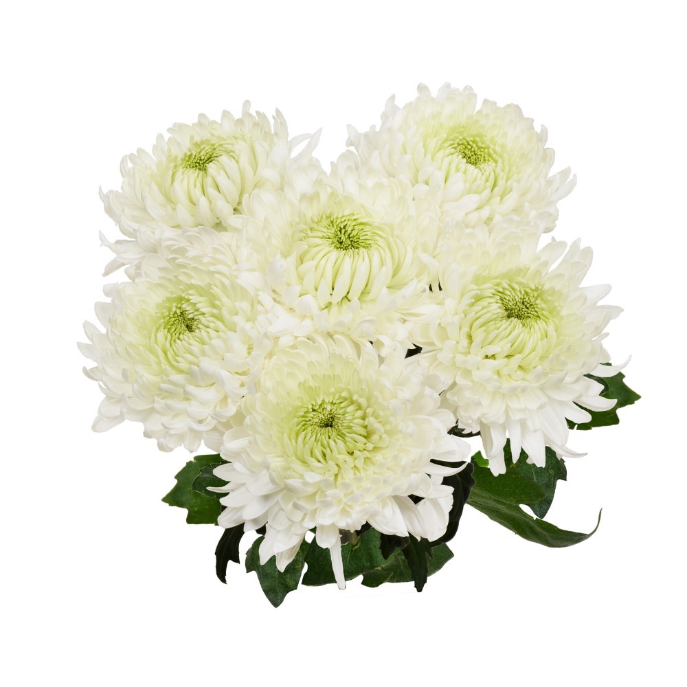 slide 3 of 4, Sunshine Disbud Floral Bouquet, 6 ct