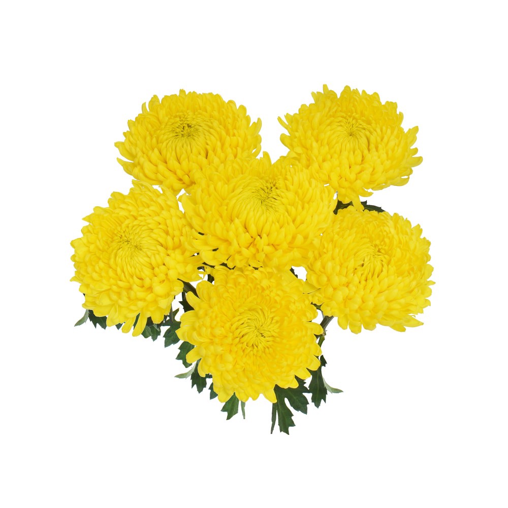 slide 2 of 4, Sunshine Disbud Floral Bouquet, 6 ct