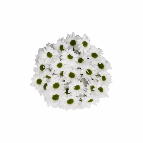 slide 1 of 1, Bloom Haus Pom White Green Assorted Bunch, 1 ct