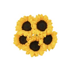 Giant Eagle, Floral Sunflowers, 5 Stem