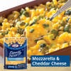 slide 3 of 9, Kraft Mild Cheddar Shredded Cheese, 8 oz