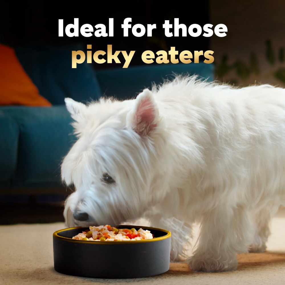 slide 6 of 6, Cesar Simply Crafted Adult Wet Complement Beef, Chicken, Purple Potatoes, Peas & Carrots, 8.82 oz