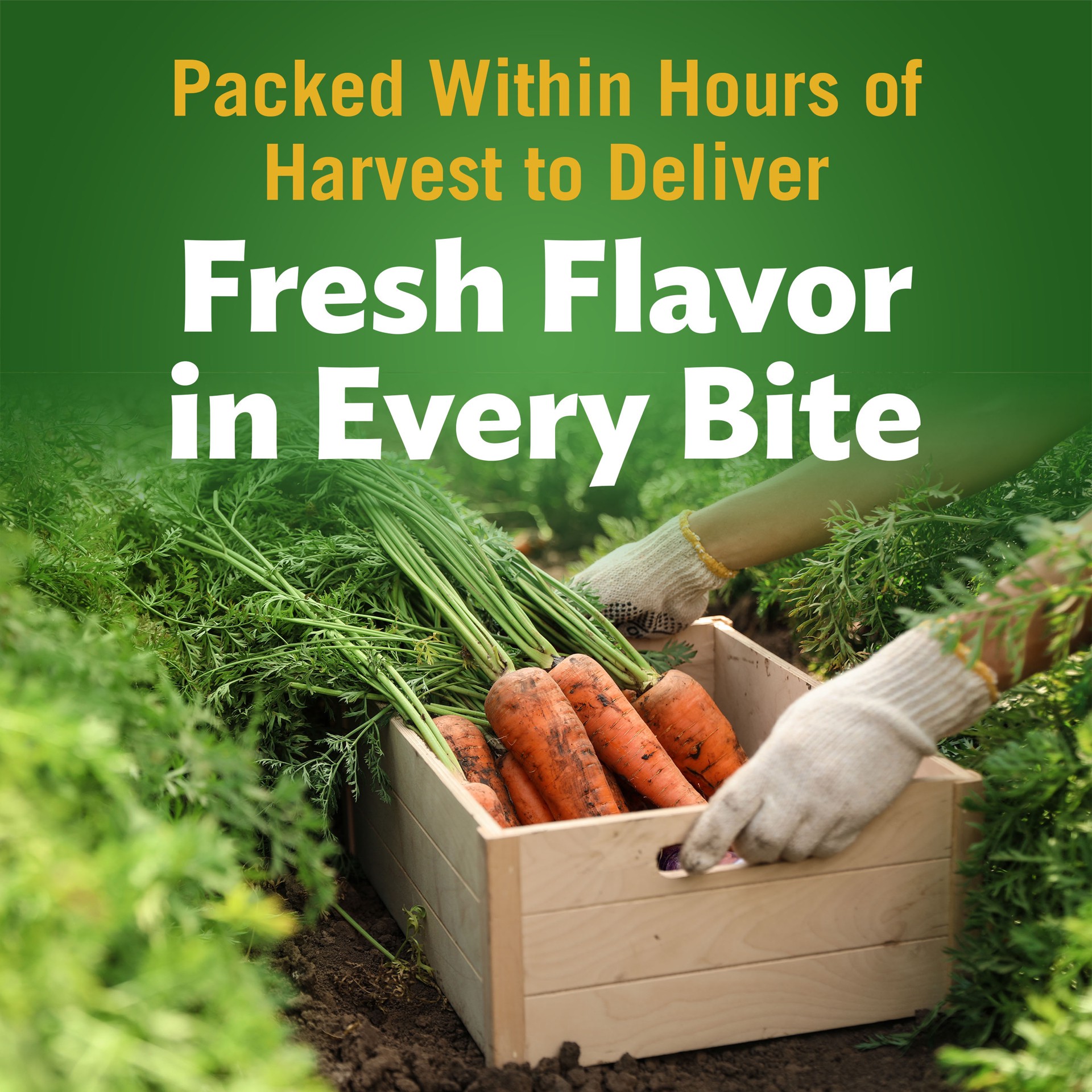 slide 5 of 5, Del Monte Harvest Sliced Carrots, 14.5 oz Can, 14.5 oz