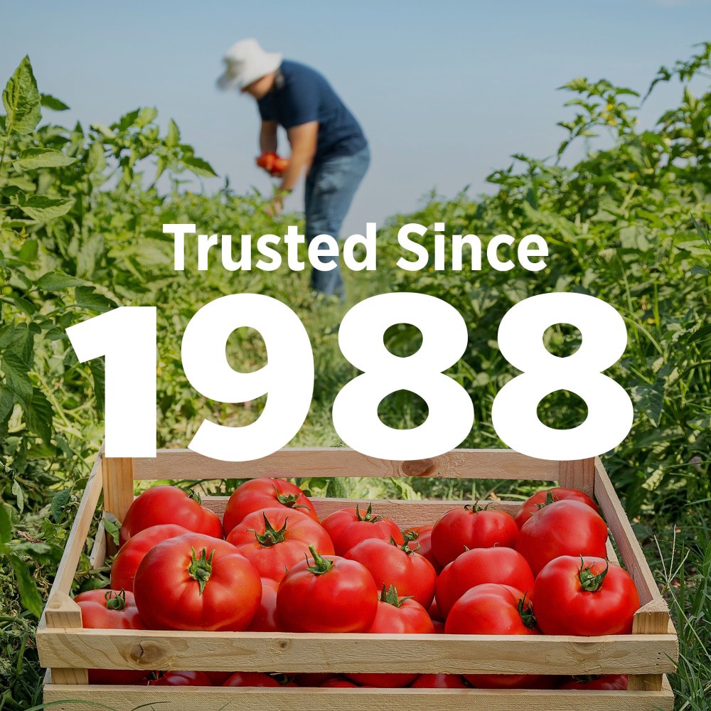 slide 5 of 6, Hunt's Tomato Paste, 6 oz., 6 oz