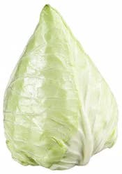 Tanimura & Antle Artisan Dew Drop Cabbage