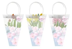Rocket Farms 6" Assorted Spring Bulbs in Mother's Day Bag, 6 in