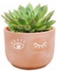 slide 1 of 1, Rocket Farms Succulent In Terracotta Face Pot, 4 in