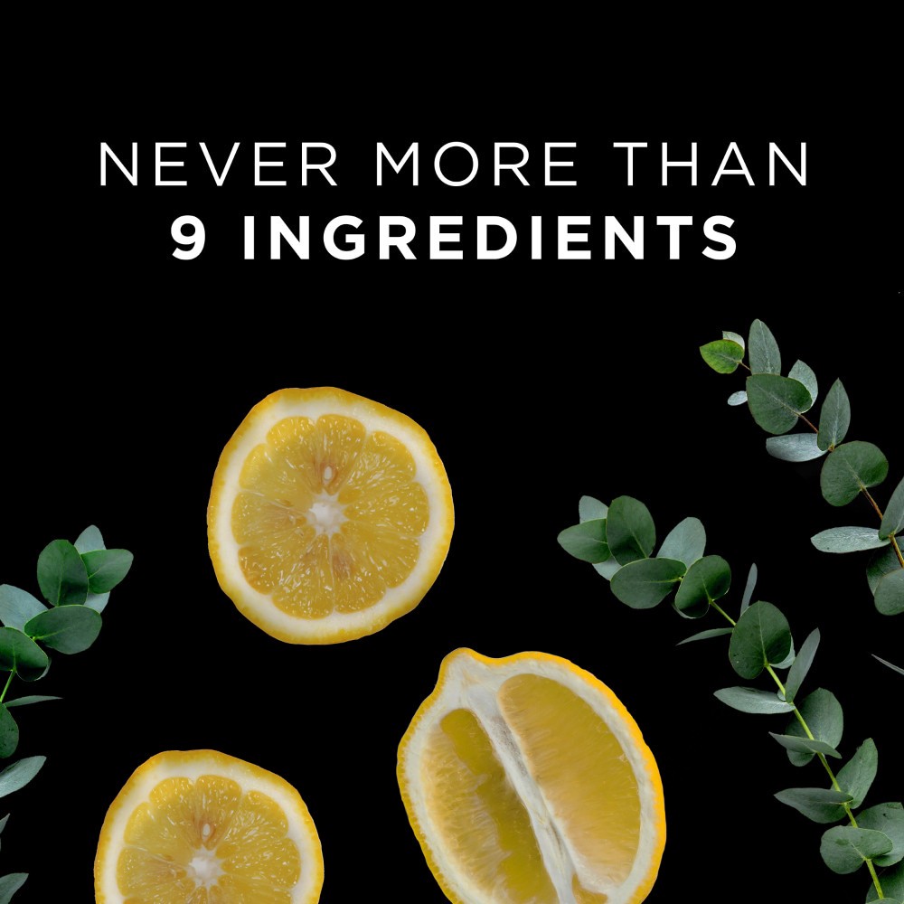 slide 2 of 3, 9 Elements Foaming Dish Spray, Dish Soap, Lemon Scent, 16 oz Bottle, 16 fl oz