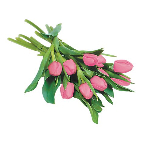 slide 1 of 1, 10 Stem Cut Tulips - Each, 10 ct