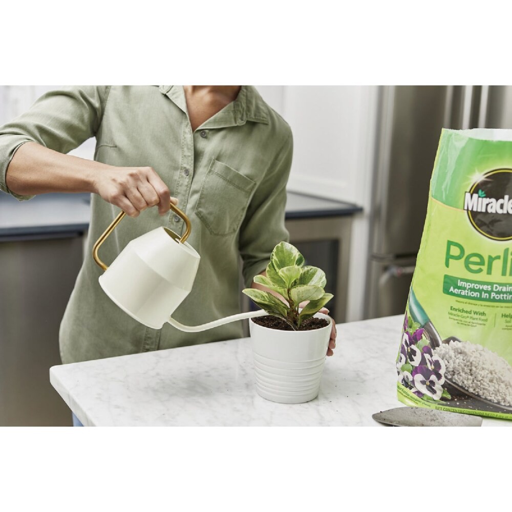 slide 5 of 6, Miracle-Gro Perlite, 8 qt