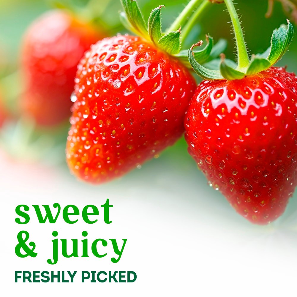 slide 3 of 3, Organic Strawberries, 16 oz