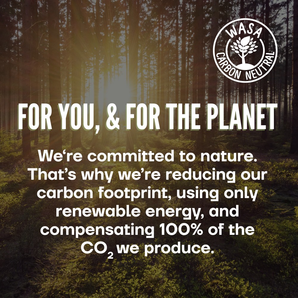 slide 6 of 6, Wasa Swedish Style Sesame & Sea Salt Crispbread 6.1 oz, 6.1 oz