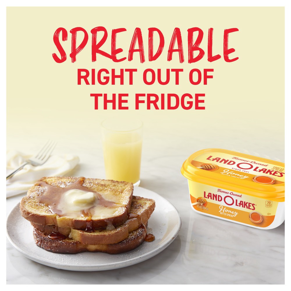 slide 2 of 6, Land O'Lakes Honey Butter Spread, Spreadable, 6.5 oz