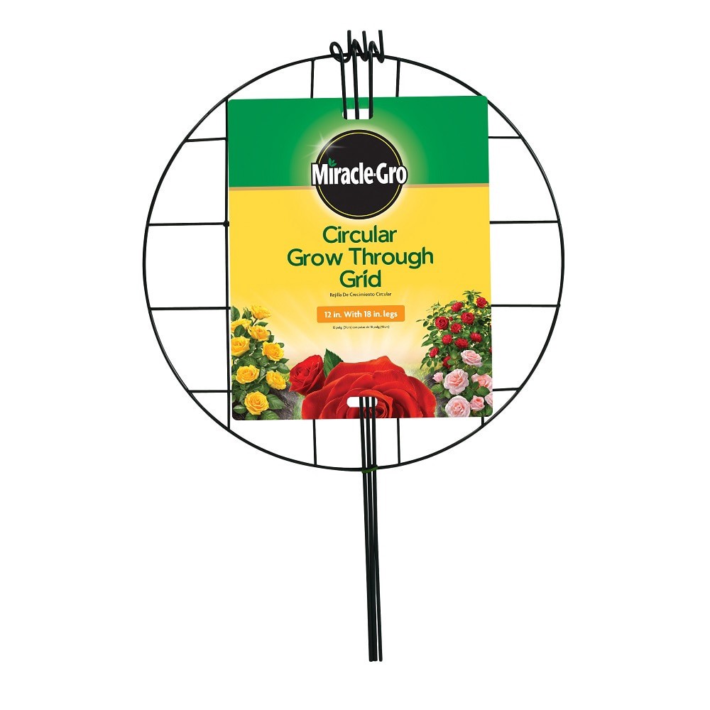 slide 1 of 1, Miracle-Gro Circular Grow-Through Grid - Green - 12 X 18 Inch, 1 ct