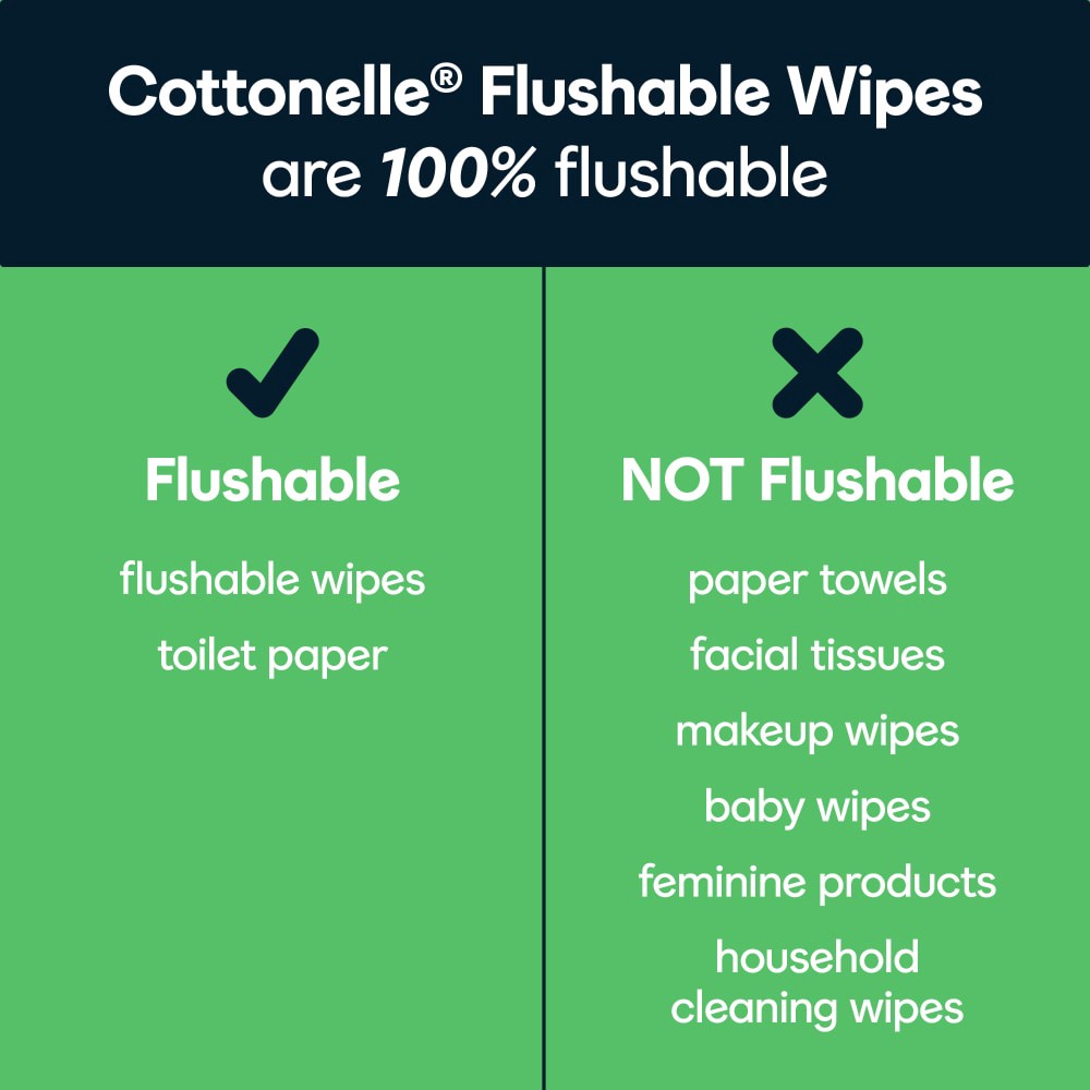 slide 5 of 6, Cottonelle GentlePlus Flushable Wet Wipes with Aloe & Vitamin E, Adult Wet Wipes, 4 Flip-Top Packs, 42 Wipes per Pack (168 Total Flushable Wipes), 4 ct