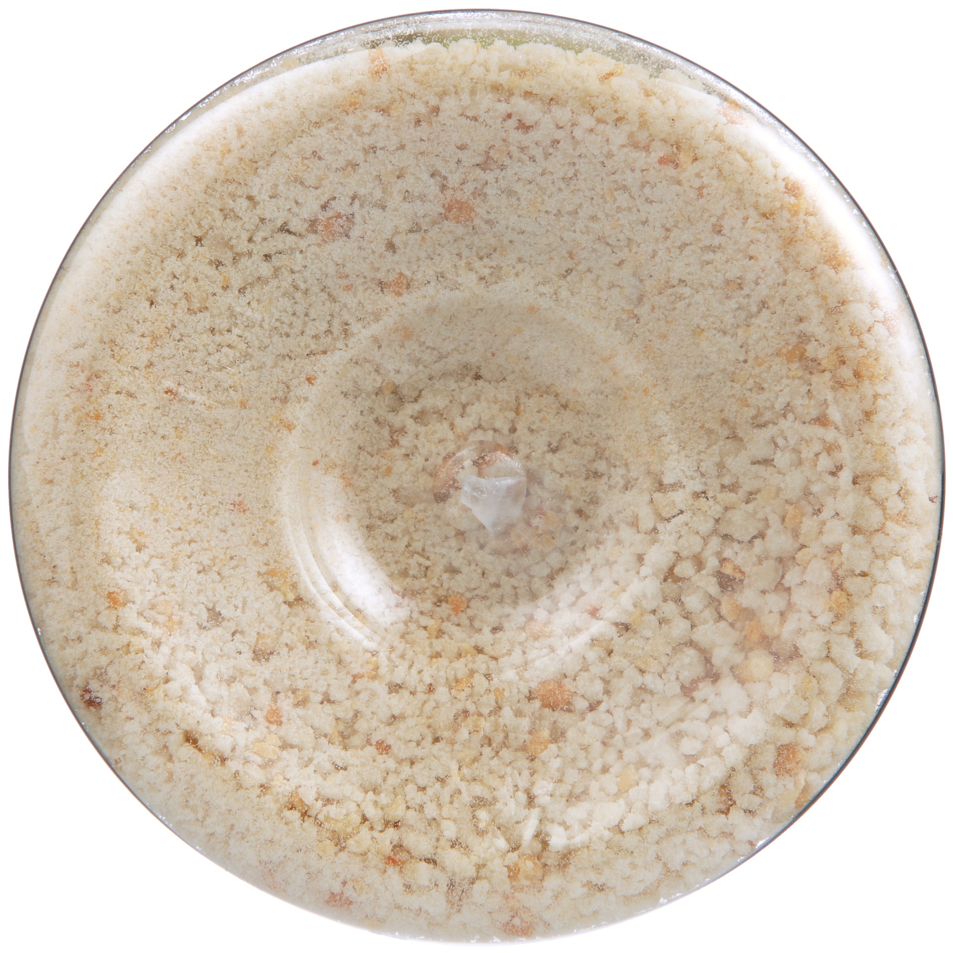 slide 6 of 6, Full Circle Market Gluten Free Original Bread Crumbs 9 oz, 9 oz