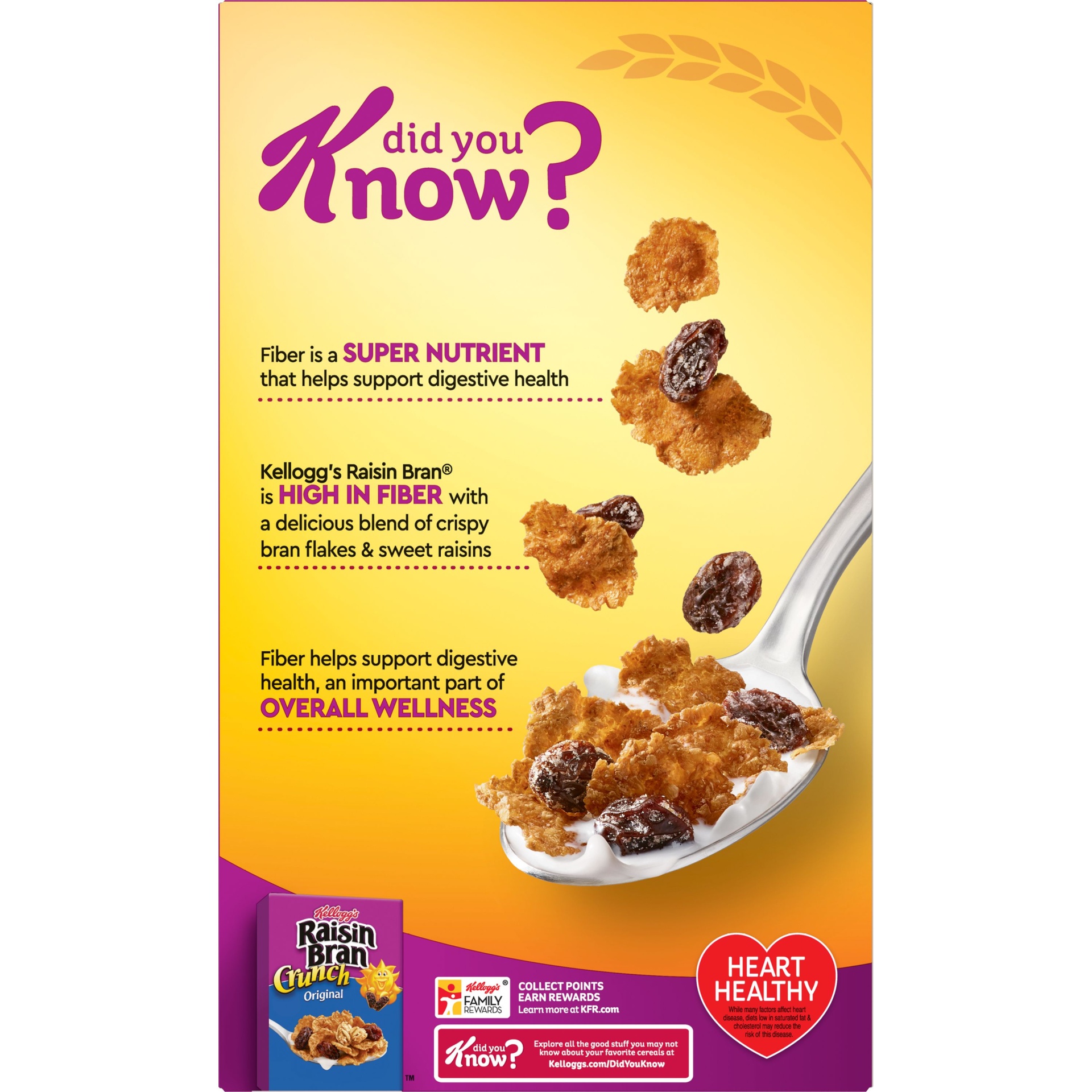slide 3 of 7, Kellogg's Raisin Bran Breakfast Cereal, Original, 24 oz, 24 oz