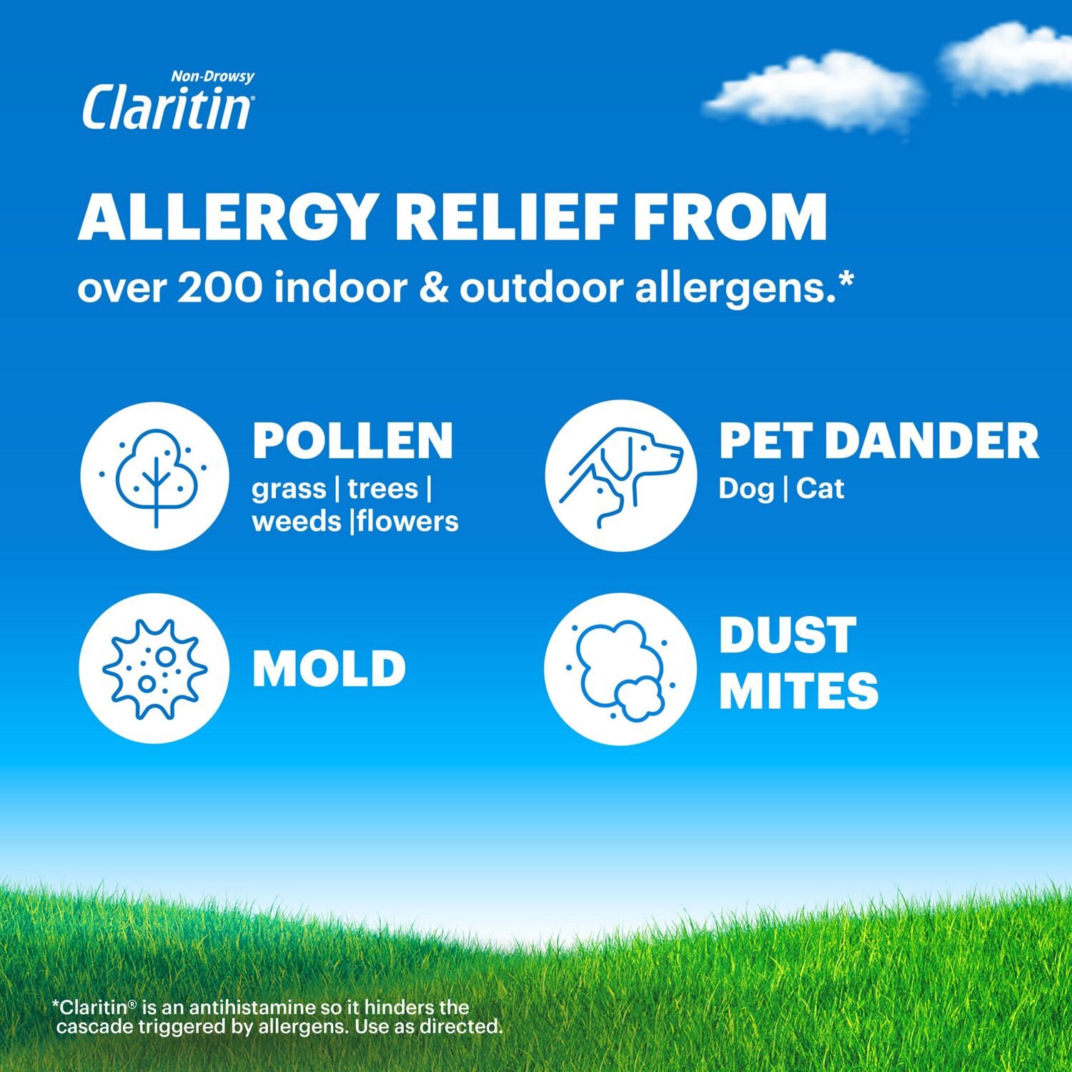 slide 5 of 8, Claritin Liquid Non-Drowsy Cooling Honey Flavored Indoor and Outdoor Allergies 2.7 fl oz, 2.7 fl oz