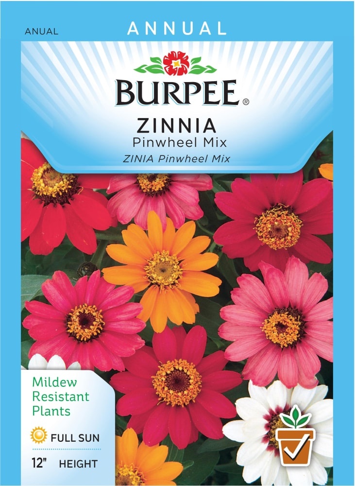 Burpee Zinnia Pinwheel Seed Mix - Multi-Color 1 ct | Shipt