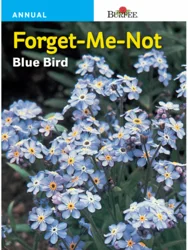 Burpee® Forget-Me-Not Blue Bird Seeds