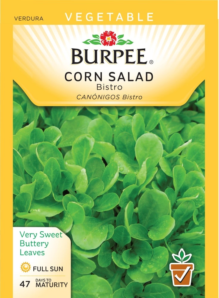 slide 1 of 1, Burpee Bistro Corn Salad Seeds, 1 ct