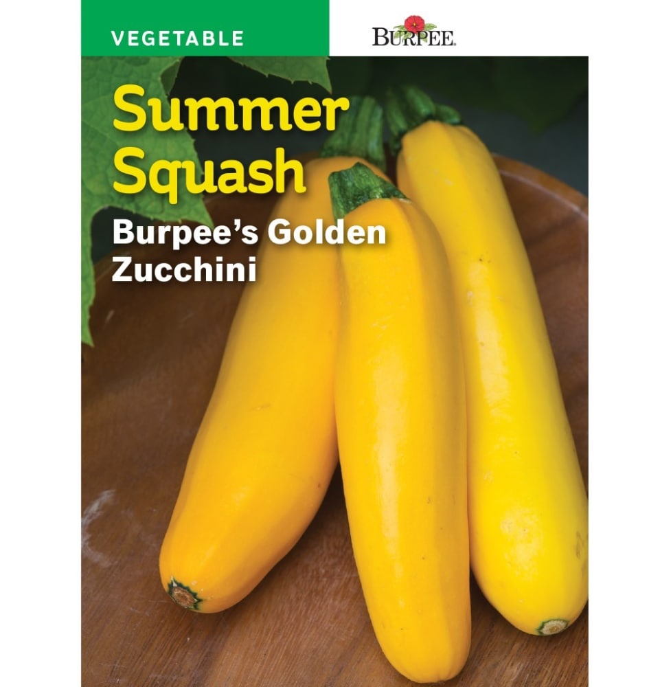 slide 1 of 1, Burpee Summer Squash Zucchini Seeds - Golden, 1 ct